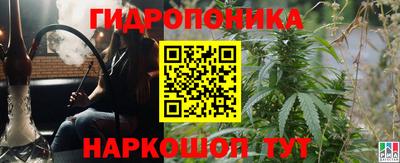 PSILOCYBIN Заводоуковск