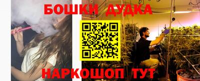 PSILOCYBIN Заводоуковск