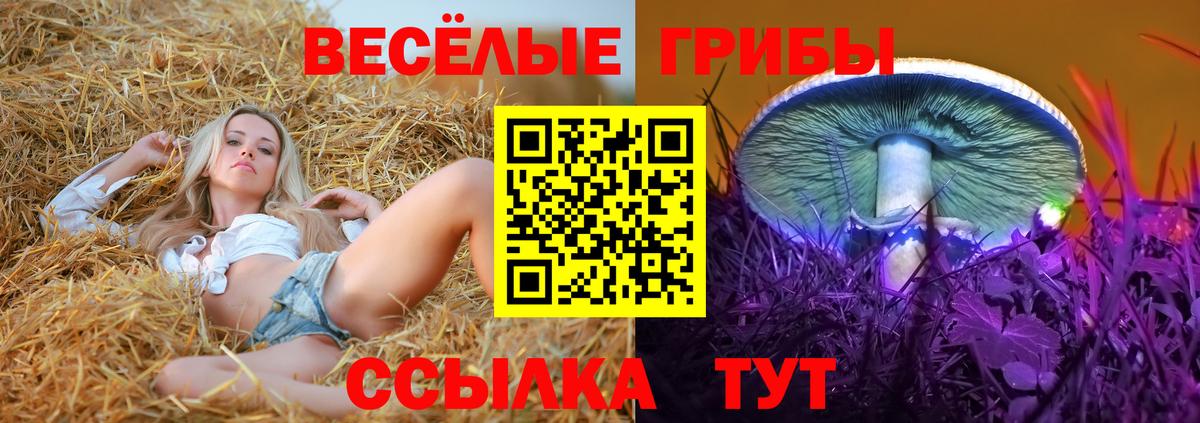 Псилоцибиновые грибы прущие грибы Лысьва