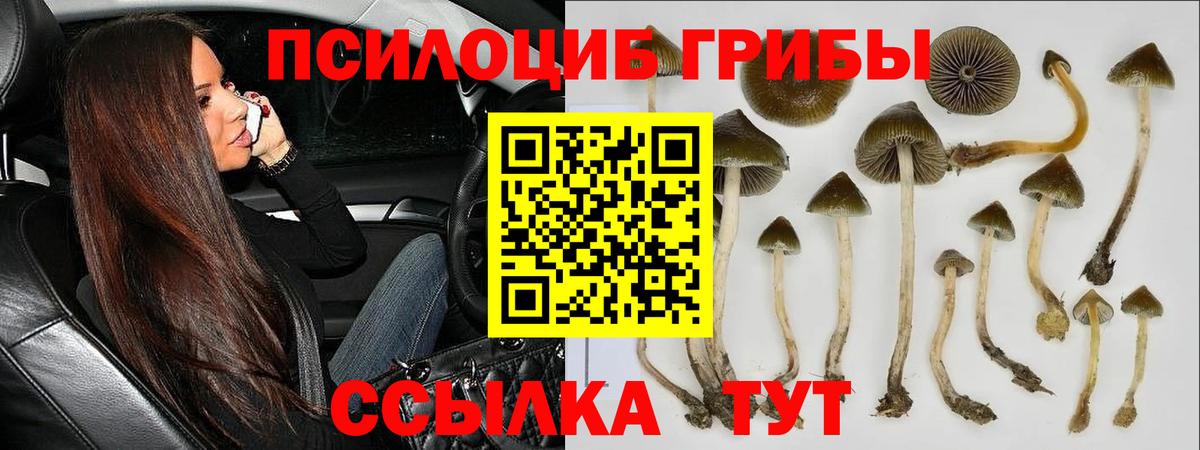 Псилоцибиновые грибы прущие грибы  Псилоцибиновые грибы MAGIC MUSHROOMS  Лысьва  Вход с VPN 